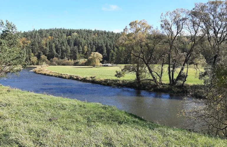 Na predaj rekreačný pozemok 4394 m2 Kežmarok Pradiareň